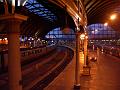 Newcastle station IMGP6776